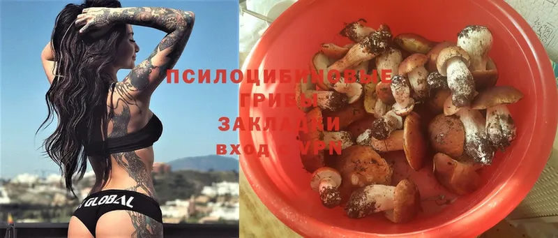 Галлюциногенные грибы Magic Shrooms  где купить наркотик  Высоковск 